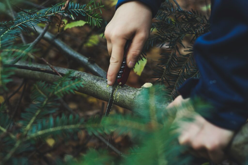 A hand using a folding saw to cut a small branch surrounded by green foliage in a forest setting.