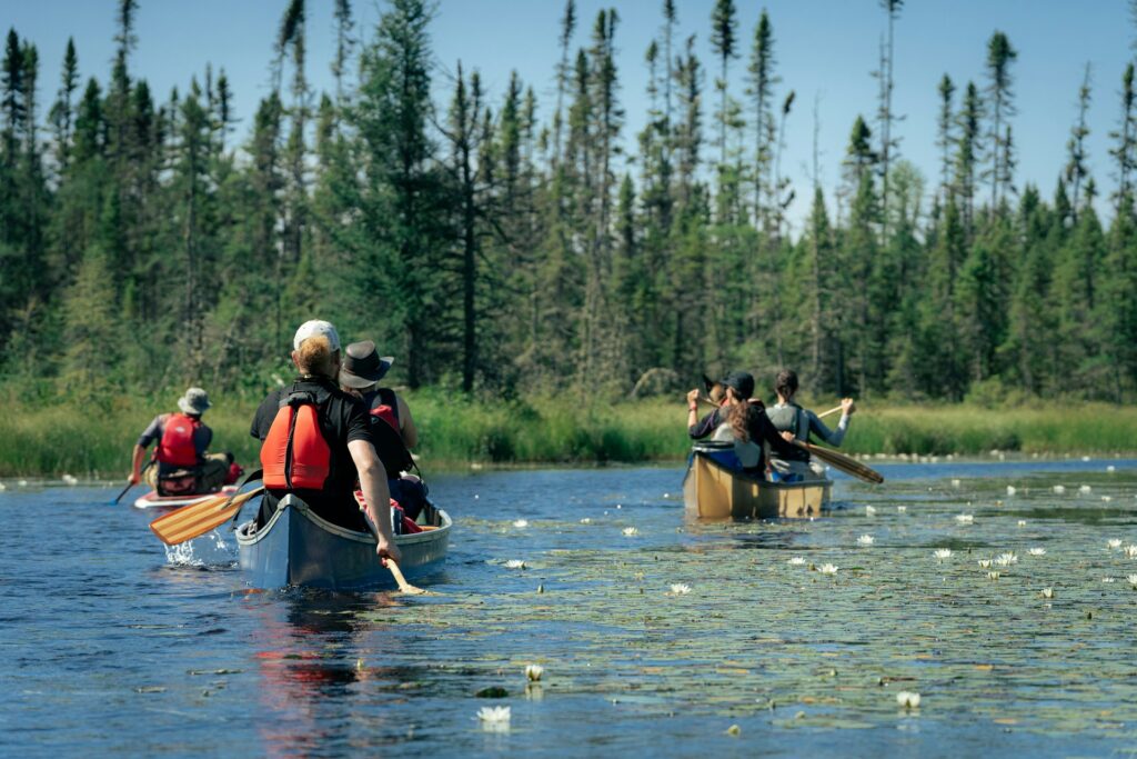 A group of people canoeing in a calm lake surrounded by green trees and water lilies under a clear blue sky.