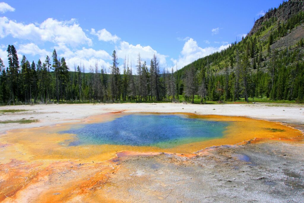 A vibrant hot spring with blue and orange hues, surrounded by trees and a bright blue sky in Yellowstone National Park.