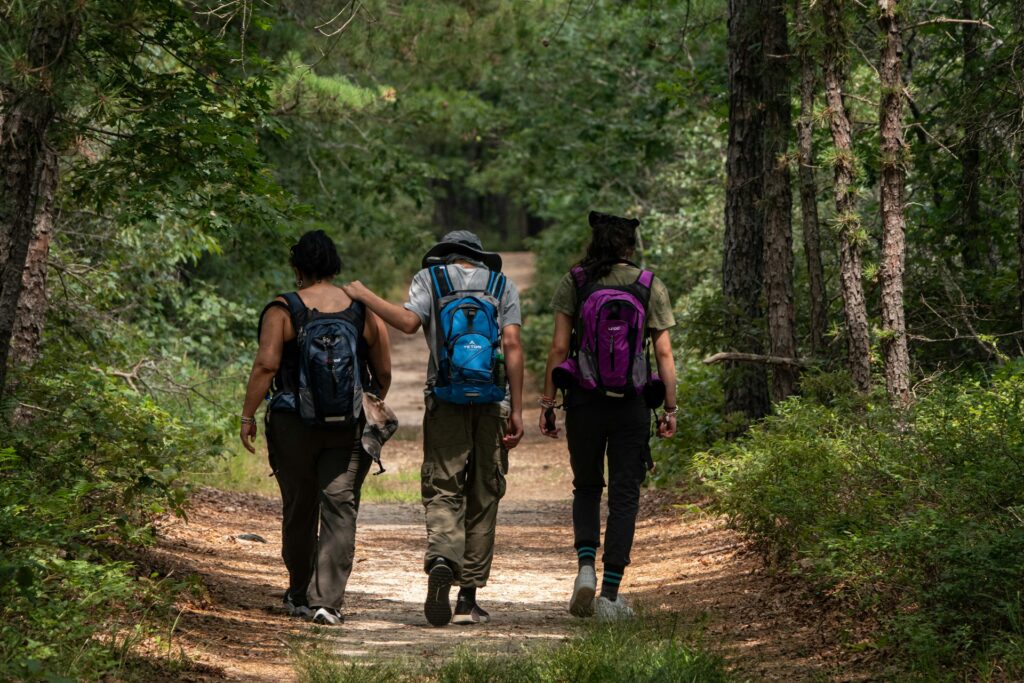 Three hikers walk along a wooded trail, surrounded by lush greenery, enjoying a sunny day in nature.