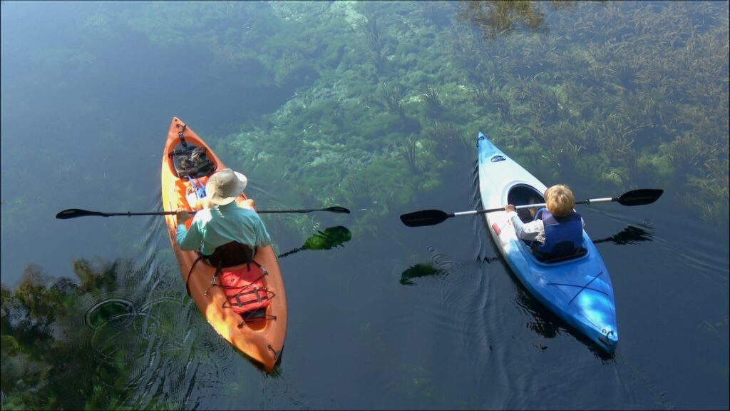 Two kayakers, one in an orange kayak and the other in a blue kayak, paddle on clear, calm waters rich with underwater vegetation.