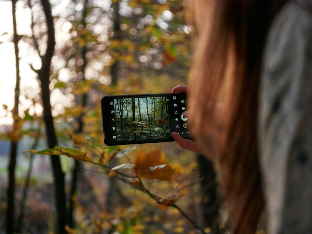 A person captures a forest scene with their smartphone, surrounded by autumn foliage and soft, blurred trees in the background.