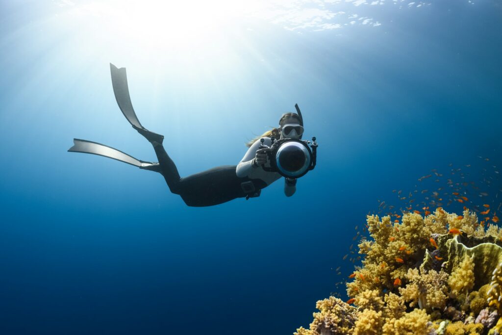 A diver in a wetsuit holds a camera while swimming above vibrant coral reefs in clear blue water, illuminated by sunlight.