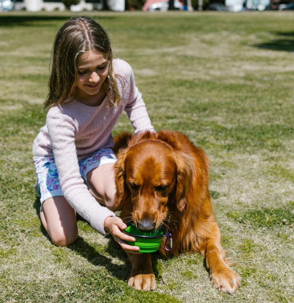 Photo by RDNE Stock project: https://www.pexels.com/photo/a-woman-giving-water-to-her-pet-dog-7516230/