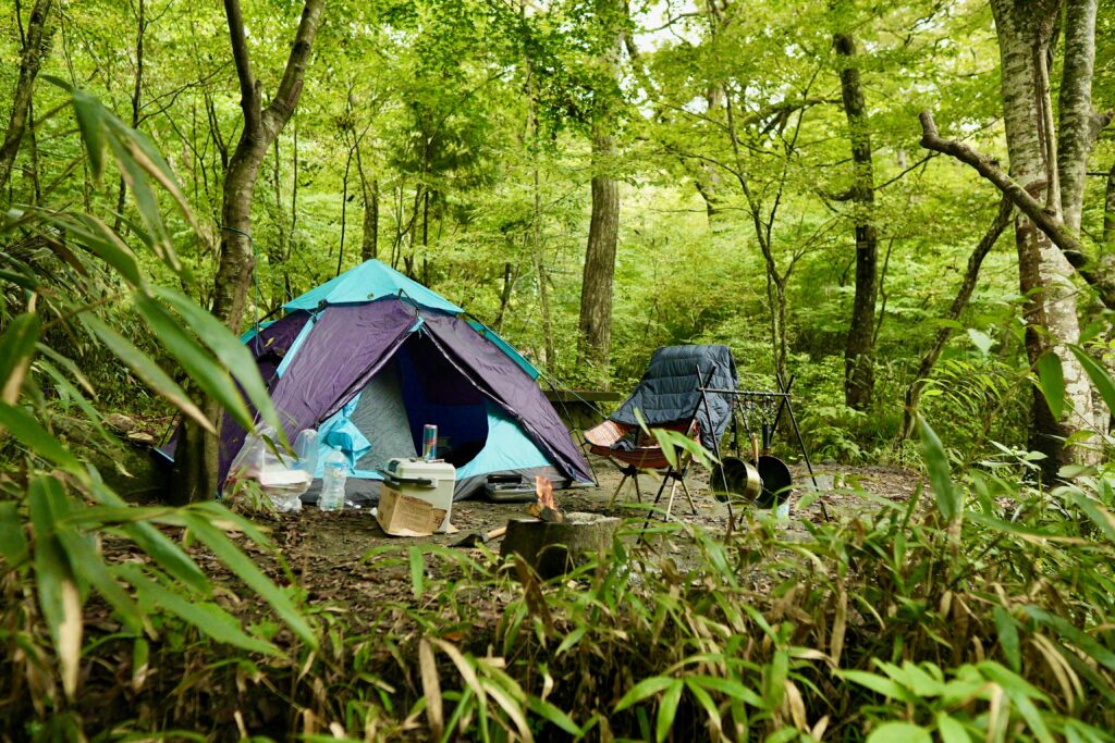 A vibrant purple and blue tent sits in a green forest clearing with camping gear, chairs, and a small fire pit nearby.