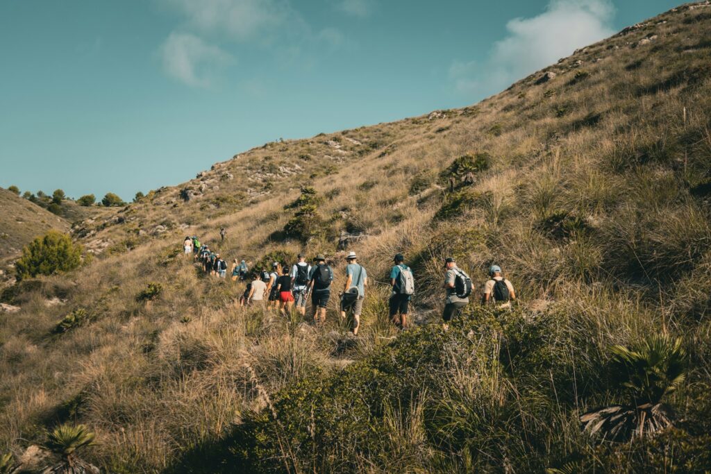 A group of hikers trails through grassy hills under a clear blue sky, displaying camaraderie in a natural landscape.
