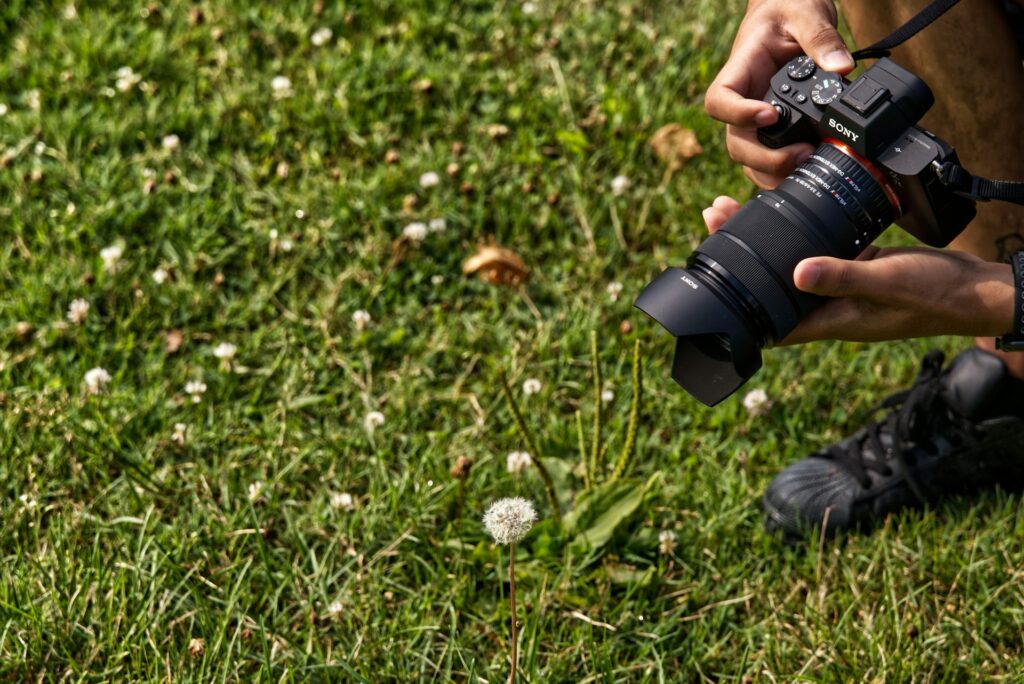 A person holds a Sony camera, focused on a dandelion puff in a grassy field scattered with small white flowers.