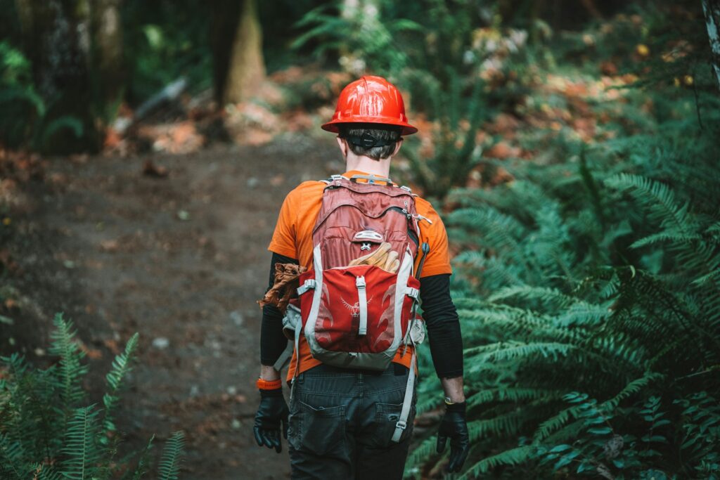 A person wearing an orange shirt, a red hard hat, and gloves walks along a forest path surrounded by lush green ferns.