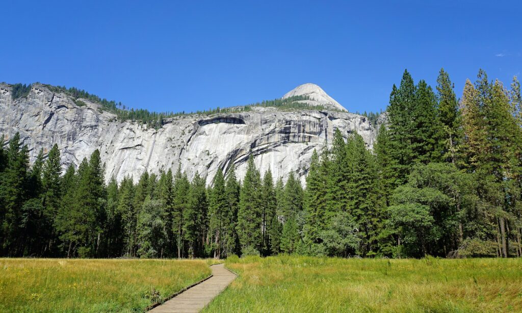 A wooden path leads through grassy meadows surrounded by tall pine trees, with a majestic granite cliff and peak under a clear blue sky.