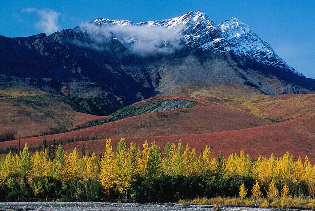 Majestic snow-capped mountain peaks rise above colorful autumn foliage, creating a stunning landscape under a clear blue sky.