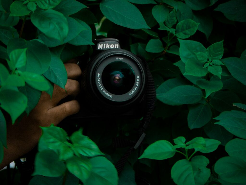 A hand emerges from lush green foliage, holding a Nikon camera, ready to capture the vibrant nature surrounding it.