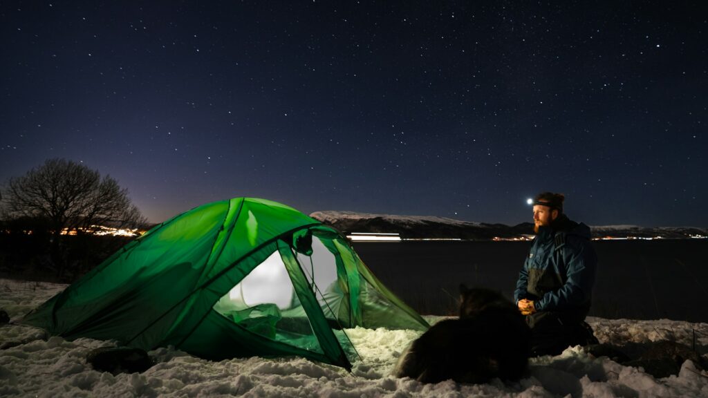 A green tent stands on snow near a serene lake, under a starry night sky, accompanied by a dog.