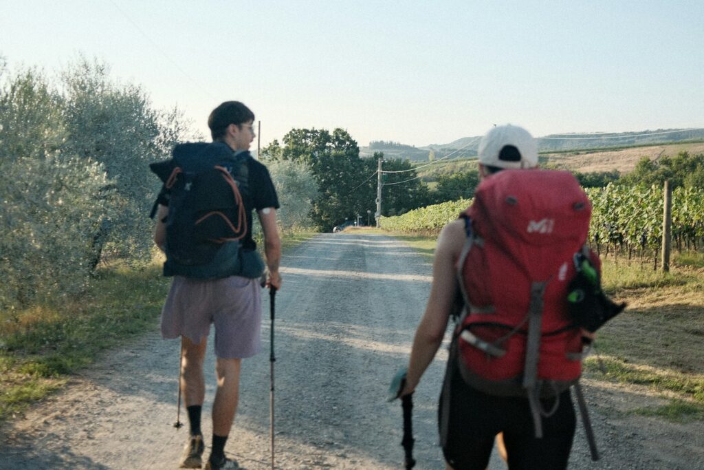 Two hikers with backpacks walk along a gravel road, surrounded by olive trees and vineyards under a clear sky.