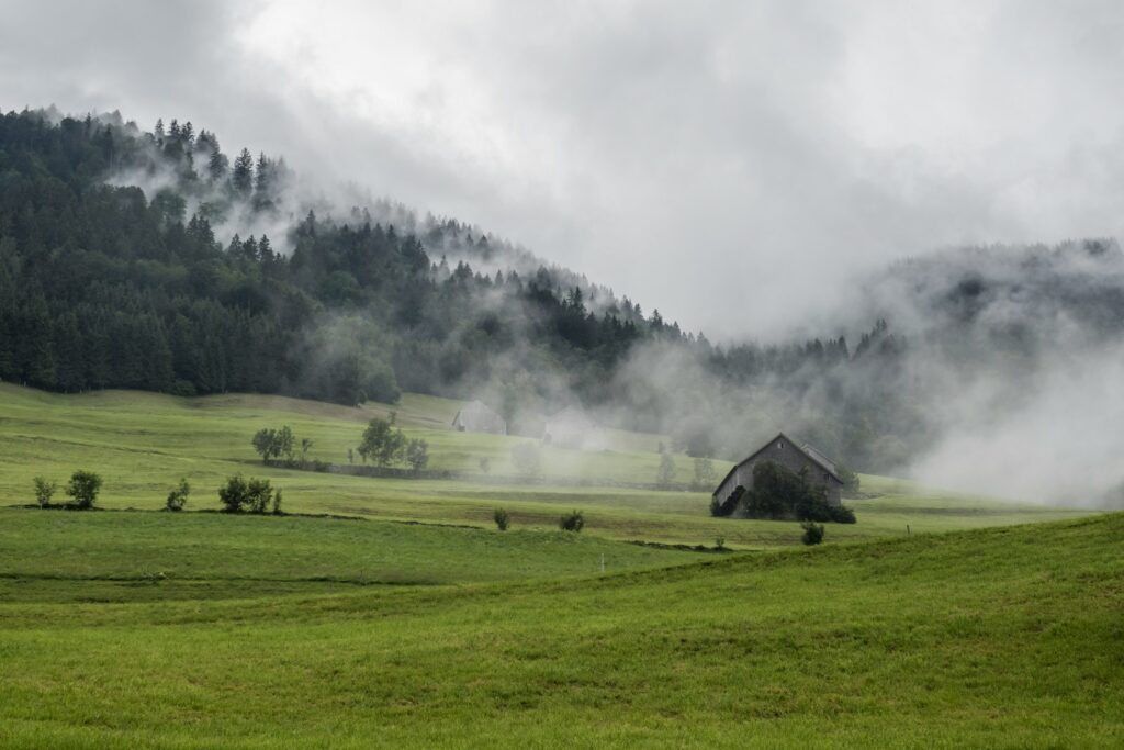 green grass field near house during daytime
