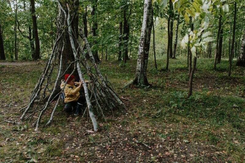 Shelter Building for Beginners: Survive Without a Tent