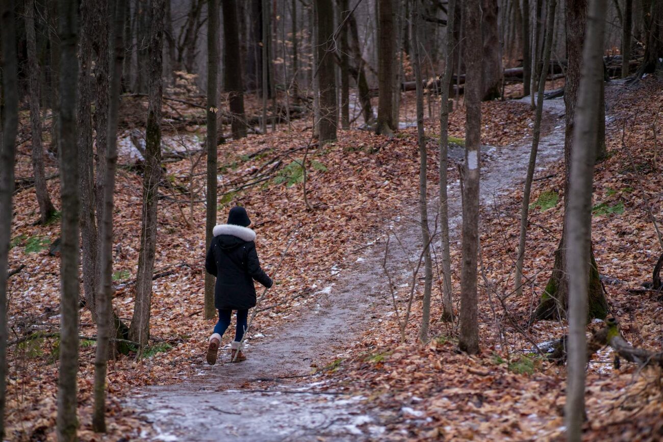 A person in a black jacket walks along a forest path covered in fallen leaves.