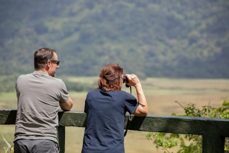 Animal Encounters: When to Stay Calm and When to Run