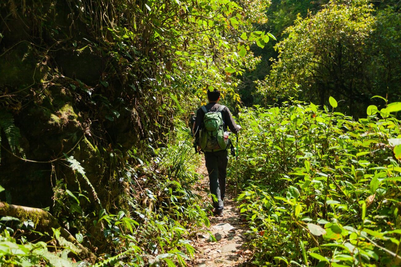 A lone hiker with a backpack walks along a vibrant green forest trail during the day.
