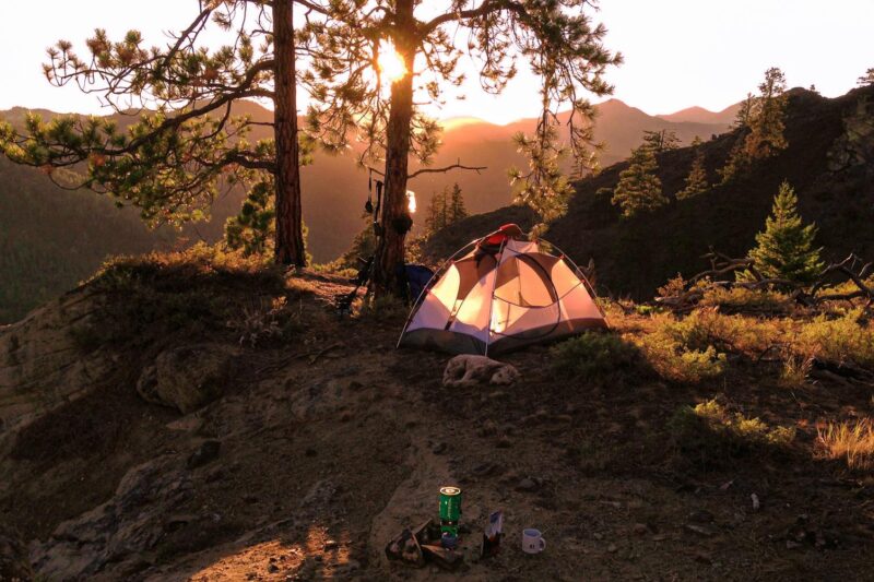 Can You Camp Safely in Bear Country? Absolutely—Here’s How