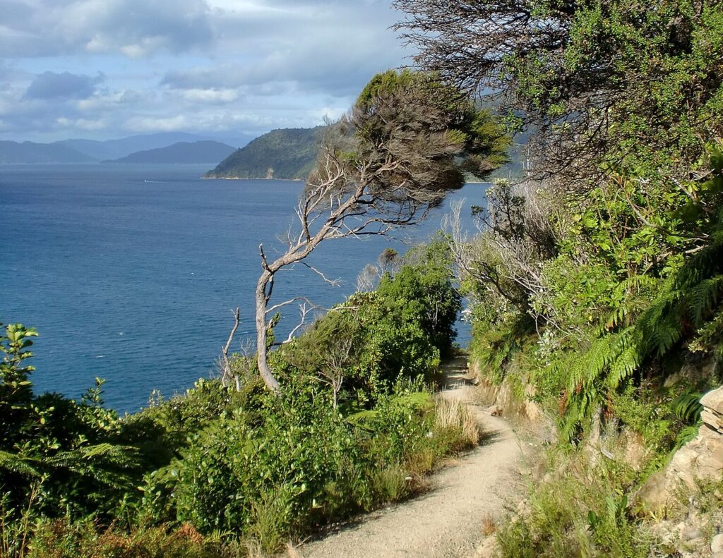 A scenic coastal pathway winds through lush greenery, leading to a tranquil blue sea and distant hills under a partly cloudy sky.