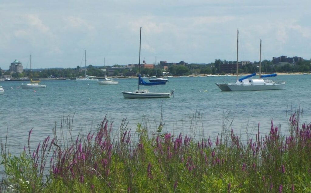 Sailboats moored in a calm lake, framed by vibrant purple flowers and a distant shoreline dotted with buildings under a cloudy sky.
