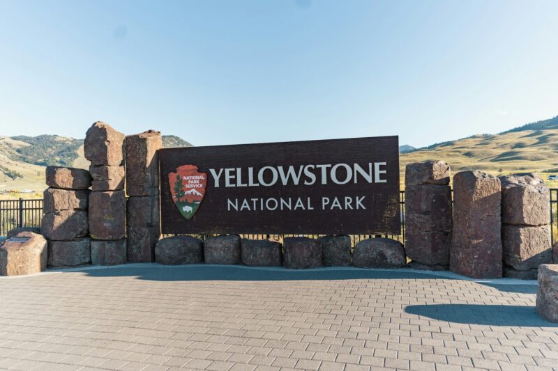 What Makes Yellowstone So Wild? 12 Reasons to See It in Every Season