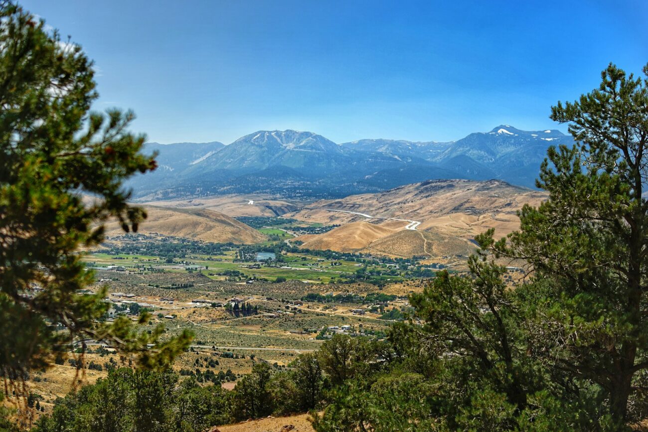 a landscape with trees and mountains in the background