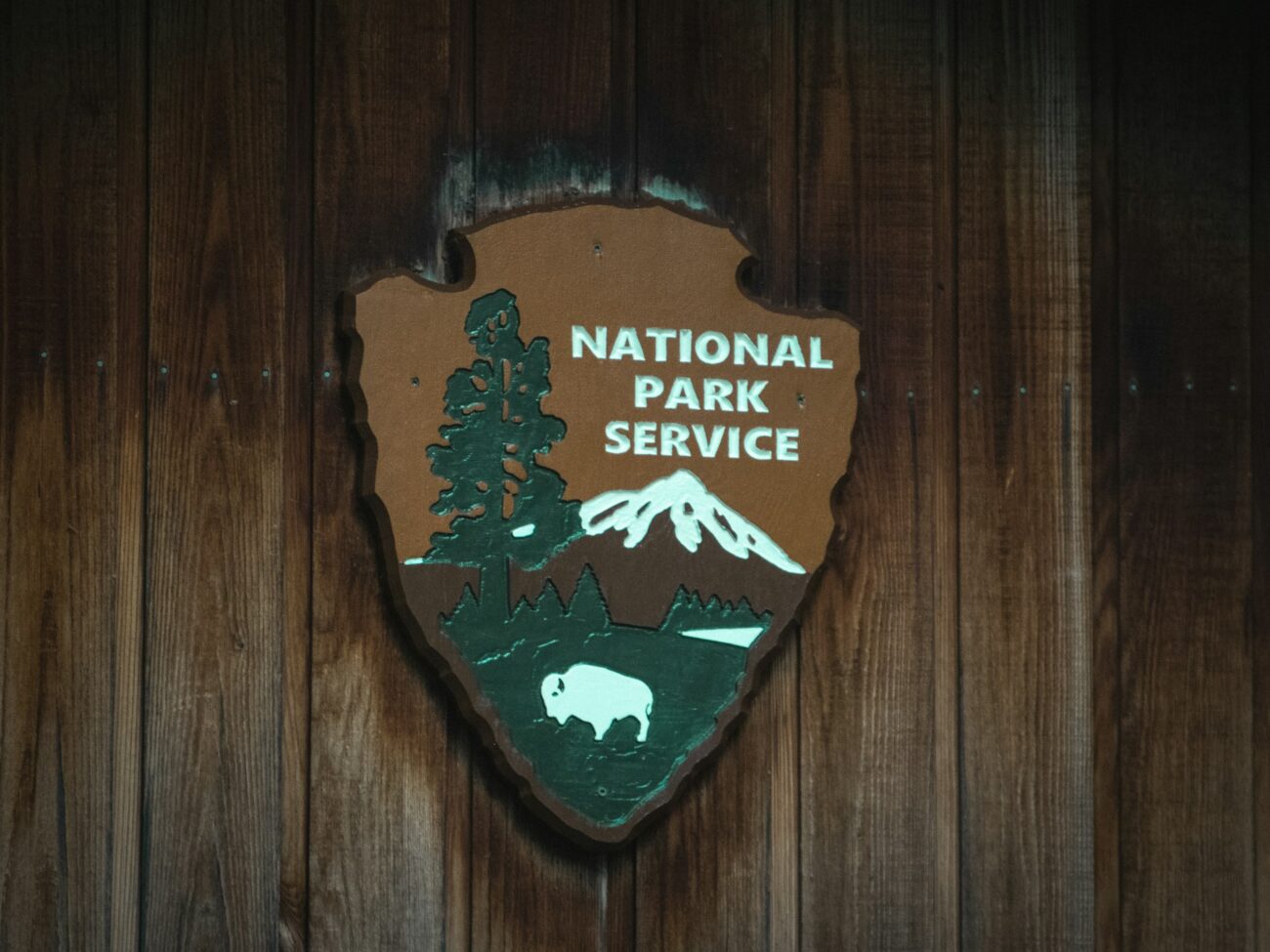 A wooden plaque featuring the National Park Service emblem, showcasing a pine tree, mountains, and a bison against a rustic backdrop.