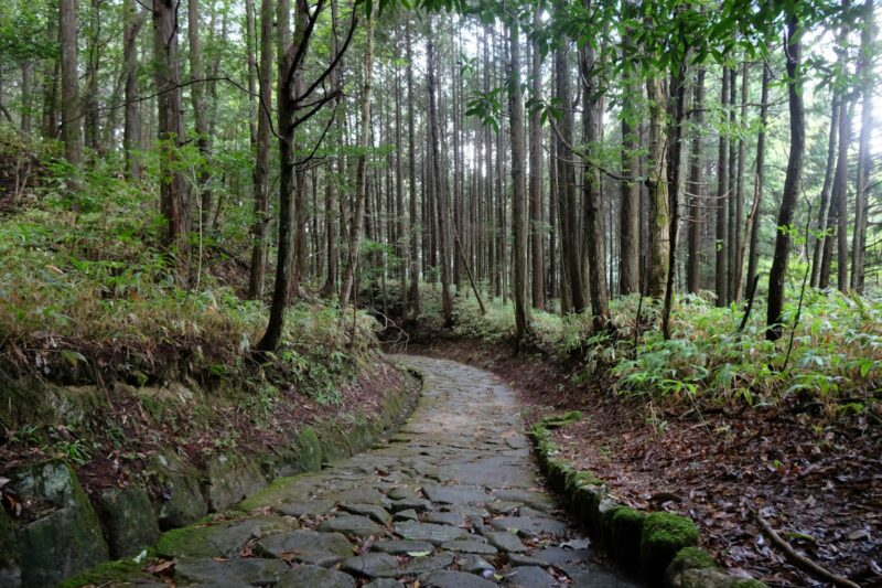 What Makes a Trail “Iconic”? History, Landscape, and Legacy