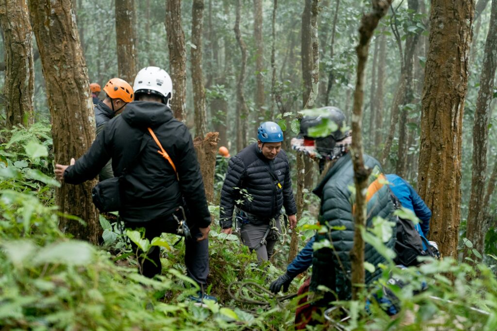 A group of climbers in helmets navigate a dense, misty forest, surrounded by tall trees and lush greenery.